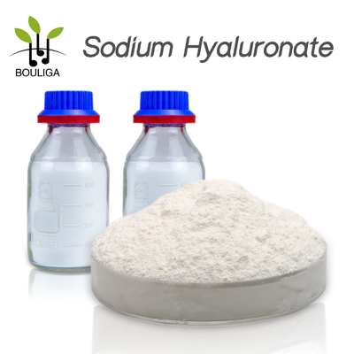 Gifted Class Food Grade Sodium Hyaluronate 500g / Bag Provide Free Sample