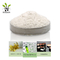 Sodium Hyaluronate Pure Hyaluronic Acid Powder 99.9%